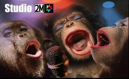 studio 2mmmmmmmmm !!!!!!!